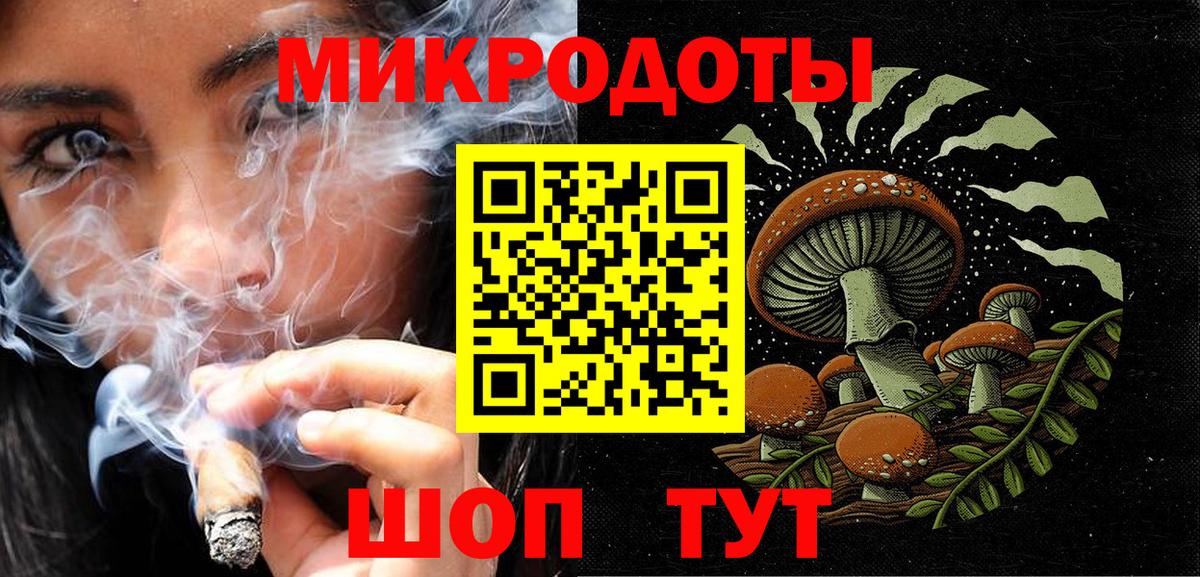 Баксан  Галлюциногенные грибы Psilocybe  Вход с VPN 